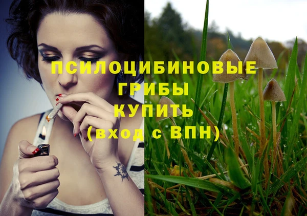 2c-b Нязепетровск