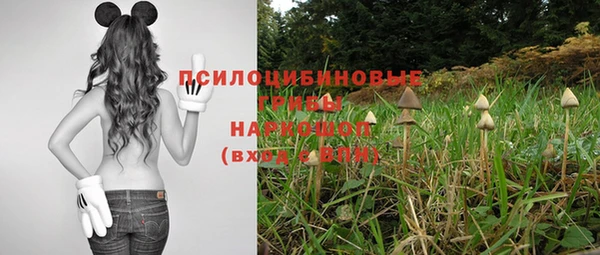 2c-b Нязепетровск