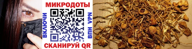 OMG как войти  Обнинск  Галлюциногенные грибы мицелий  наркота 